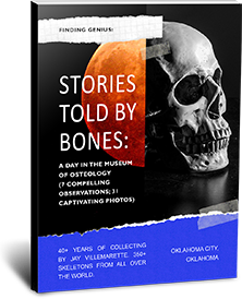 Bone Museum Book